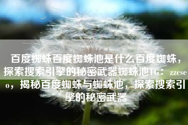 百度蜘蛛百度蜘蛛池是什么百度蜘蛛，探索搜索引擎的秘密武器蜘蛛池TG：zzcseo，揭秘百度蜘蛛与蜘蛛池，探索搜索引擎的秘密武器