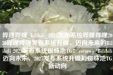 哔哩哔哩_bilibili_2025发布系统哔哩哔哩2050哔哩哔哩发布系统升级，迈向未来的Bilibili 2025发布系统蜘蛛池TG：zzcseo，Bilibili迈向未来，2025发布系统升级与蜘蛛池TG新动向