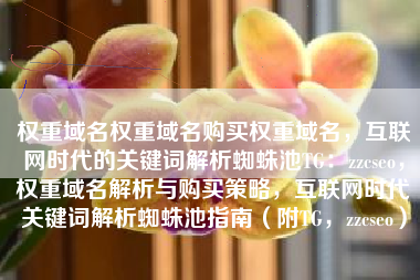 权重域名权重域名购买权重域名，互联网时代的关键词解析蜘蛛池TG：zzcseo，权重域名解析与购买策略，互联网时代关键词解析蜘蛛池指南（附TG，zzcseo）