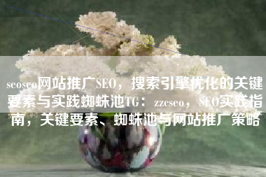 seoseo网站推广SEO，搜索引擎优化的关键要素与实践蜘蛛池TG：zzcseo，SEO实践指南，关键要素、蜘蛛池与网站推广策略