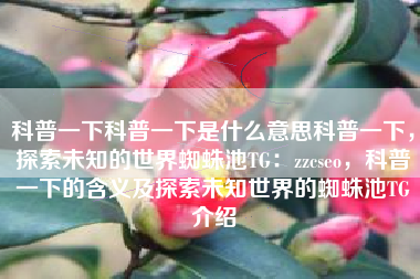 科普一下科普一下是什么意思科普一下，探索未知的世界蜘蛛池TG：zzcseo，科普一下的含义及探索未知世界的蜘蛛池TG介绍