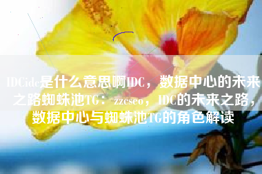 IDCidc是什么意思啊IDC，数据中心的未来之路蜘蛛池TG：zzcseo，IDC的未来之路，数据中心与蜘蛛池TG的角色解读