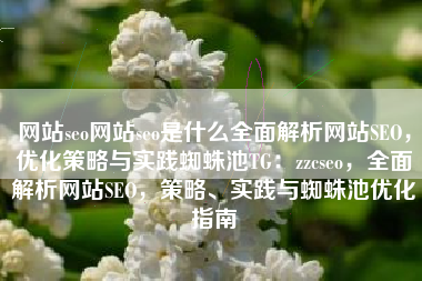 网站seo网站seo是什么全面解析网站SEO，优化策略与实践蜘蛛池TG：zzcseo，全面解析网站SEO，策略、实践与蜘蛛池优化指南