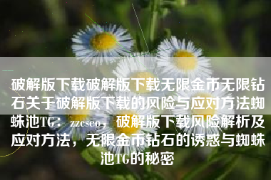 破解版下载破解版下载无限金币无限钻石关于破解版下载的风险与应对方法蜘蛛池TG：zzcseo，破解版下载风险解析及应对方法，无限金币钻石的诱惑与蜘蛛池TG的秘密