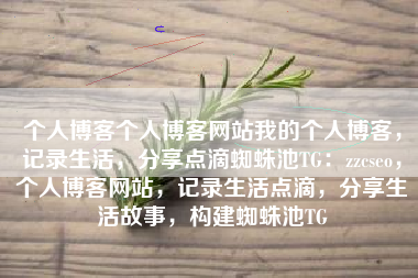 个人博客个人博客网站我的个人博客，记录生活，分享点滴蜘蛛池TG：zzcseo，个人博客网站，记录生活点滴，分享生活故事，构建蜘蛛池TG