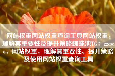 网站权重网站权重查询工具网站权重，理解其重要性及提升策略蜘蛛池TG：zzcseo，网站权重，理解其重要性、提升策略及使用网站权重查询工具