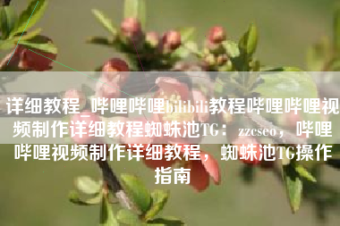 详细教程_哔哩哔哩bilibili教程哔哩哔哩视频制作详细教程蜘蛛池TG：zzcseo，哔哩哔哩视频制作详细教程，蜘蛛池TG操作指南