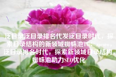 泛目录泛目录排名代发泛目录时代，探索目录结构的新领域蜘蛛池TG：zzcseo，泛目录排名时代，探索新领域目录结构，蜘蛛池助力SEO优化
