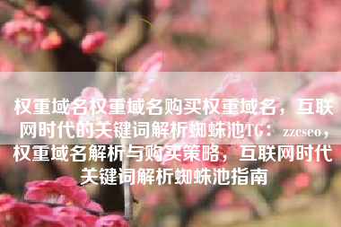 权重域名权重域名购买权重域名，互联网时代的关键词解析蜘蛛池TG：zzcseo，权重域名解析与购买策略，互联网时代关键词解析蜘蛛池指南
