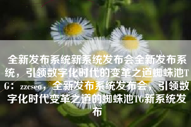 全新发布系统新系统发布会全新发布系统，引领数字化时代的变革之道蜘蛛池TG：zzcseo，全新发布系统发布会，引领数字化时代变革之道的蜘蛛池TG新系统发布