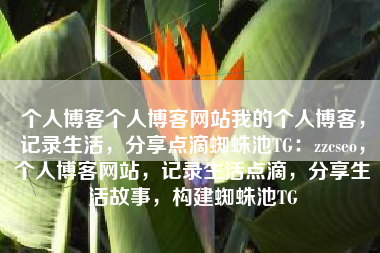 个人博客个人博客网站我的个人博客，记录生活，分享点滴蜘蛛池TG：zzcseo，个人博客网站，记录生活点滴，分享生活故事，构建蜘蛛池TG