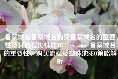 备案域名备案域名购买备案域名的重要性及其流程蜘蛛池TG：zzcseo，备案域名的重要性、购买流程及蜘蛛池SEO策略解析