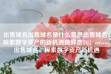 出售域名出售域名是什么意思出售域名，探索数字资产的新机遇蜘蛛池TG：zzcseo，出售域名，探索数字资产新机遇