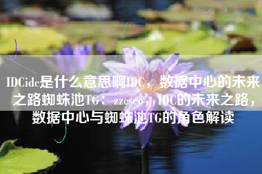 IDCidc是什么意思啊IDC，数据中心的未来之路蜘蛛池TG：zzcseo，IDC的未来之路，数据中心与蜘蛛池TG的角色解读