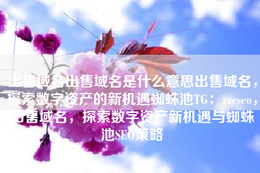 出售域名出售域名是什么意思出售域名，探索数字资产的新机遇蜘蛛池TG：zzcseo，出售域名，探索数字资产新机遇与蜘蛛池SEO策略