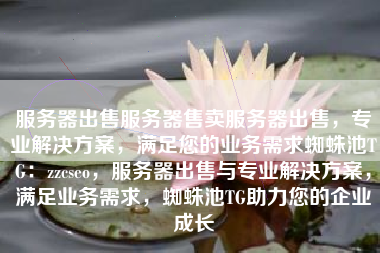 服务器出售服务器售卖服务器出售，专业解决方案，满足您的业务需求蜘蛛池TG：zzcseo，服务器出售与专业解决方案，满足业务需求，蜘蛛池TG助力您的企业成长