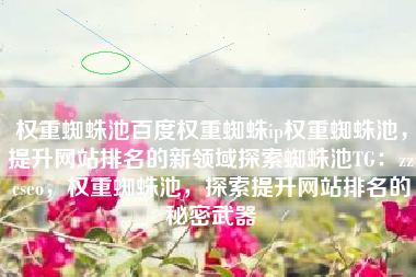 权重蜘蛛池百度权重蜘蛛ip权重蜘蛛池，提升网站排名的新领域探索蜘蛛池TG：zzcseo，权重蜘蛛池，探索提升网站排名的秘密武器