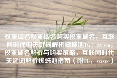 权重域名权重域名购买权重域名，互联网时代的关键词解析蜘蛛池TG：zzcseo，权重域名解析与购买策略，互联网时代关键词解析蜘蛛池指南（附TG，zzcseo）
