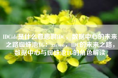 IDCidc是什么意思啊IDC，数据中心的未来之路蜘蛛池TG：zzcseo，IDC的未来之路，数据中心与蜘蛛池TG的角色解读
