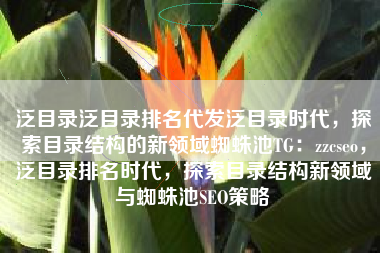 泛目录泛目录排名代发泛目录时代，探索目录结构的新领域蜘蛛池TG：zzcseo，泛目录排名时代，探索目录结构新领域与蜘蛛池SEO策略