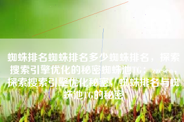 蜘蛛排名蜘蛛排名多少蜘蛛排名，探索搜索引擎优化的秘密蜘蛛池TG：zzcseo，探索搜索引擎优化秘密，蜘蛛排名与蜘蛛池TG的秘密
