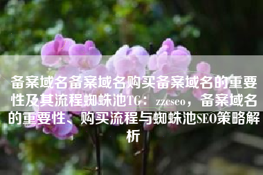 备案域名备案域名购买备案域名的重要性及其流程蜘蛛池TG：zzcseo，备案域名的重要性、购买流程与蜘蛛池SEO策略解析
