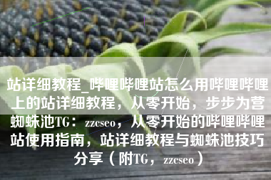 站详细教程_哔哩哔哩站怎么用哔哩哔哩上的站详细教程，从零开始，步步为营蜘蛛池TG：zzcseo，从零开始的哔哩哔哩站使用指南，站详细教程与蜘蛛池技巧分享（附TG，zzcseo）