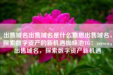 出售域名出售域名是什么意思出售域名，探索数字资产的新机遇蜘蛛池TG：zzcseo，出售域名，探索数字资产新机遇