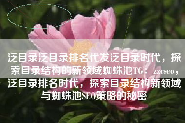 泛目录泛目录排名代发泛目录时代，探索目录结构的新领域蜘蛛池TG：zzcseo，泛目录排名时代，探索目录结构新领域与蜘蛛池SEO策略的秘密