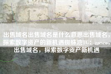 出售域名出售域名是什么意思出售域名，探索数字资产的新机遇蜘蛛池TG：zzcseo，出售域名，探索数字资产新机遇