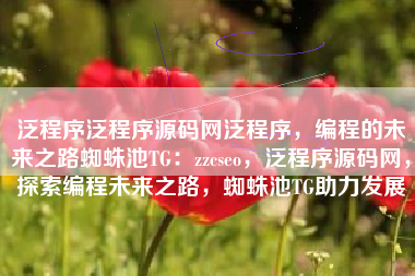 泛程序泛程序源码网泛程序，编程的未来之路蜘蛛池TG：zzcseo，泛程序源码网，探索编程未来之路，蜘蛛池TG助力发展