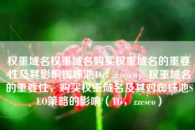 权重域名权重域名购买权重域名的重要性及其影响蜘蛛池TG：zzcseo，权重域名的重要性，购买权重域名及其对蜘蛛池SEO策略的影响（TG，zzcseo）
