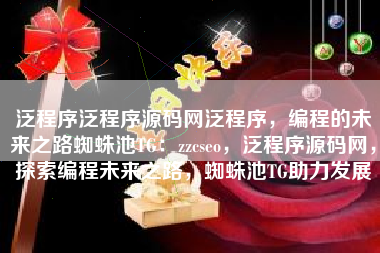 泛程序泛程序源码网泛程序，编程的未来之路蜘蛛池TG：zzcseo，泛程序源码网，探索编程未来之路，蜘蛛池TG助力发展