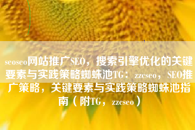 seoseo网站推广SEO，搜索引擎优化的关键要素与实践策略蜘蛛池TG：zzcseo，SEO推广策略，关键要素与实践策略蜘蛛池指南（附TG，zzcseo）