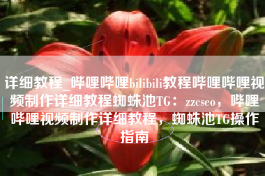 详细教程_哔哩哔哩bilibili教程哔哩哔哩视频制作详细教程蜘蛛池TG：zzcseo，哔哩哔哩视频制作详细教程，蜘蛛池TG操作指南