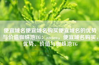 便宜域名便宜域名购买便宜域名的优势与价值蜘蛛池TG：zzcseo，便宜域名购买，优势、价值与蜘蛛池TG