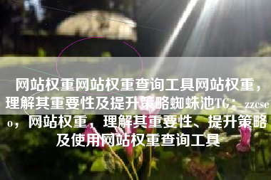 网站权重网站权重查询工具网站权重，理解其重要性及提升策略蜘蛛池TG：zzcseo，网站权重，理解其重要性、提升策略及使用网站权重查询工具