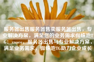 服务器出售服务器售卖服务器出售，专业解决方案，满足您的业务需求蜘蛛池TG：zzcseo，服务器出售与专业解决方案，满足业务需求，蜘蛛池TG助力企业成长