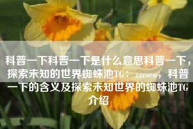 科普一下科普一下是什么意思科普一下，探索未知的世界蜘蛛池TG：zzcseo，科普一下的含义及探索未知世界的蜘蛛池TG介绍
