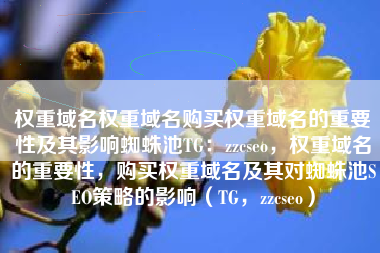 权重域名权重域名购买权重域名的重要性及其影响蜘蛛池TG：zzcseo，权重域名的重要性，购买权重域名及其对蜘蛛池SEO策略的影响（TG，zzcseo）
