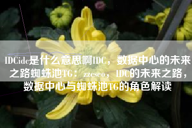 IDCidc是什么意思啊IDC，数据中心的未来之路蜘蛛池TG：zzcseo，IDC的未来之路，数据中心与蜘蛛池TG的角色解读