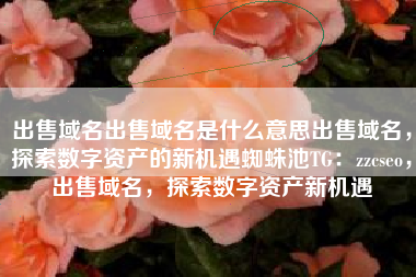出售域名出售域名是什么意思出售域名，探索数字资产的新机遇蜘蛛池TG：zzcseo，出售域名，探索数字资产新机遇