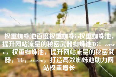 权重蜘蛛池百度权重蜘蛛ip权重蜘蛛池，提升网站流量的秘密武器蜘蛛池TG：zzcseo，权重蜘蛛池，提升网站流量的秘密武器，TG，zzcseo，打造高效蜘蛛池助力网站权重增长