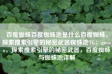 百度蜘蛛百度蜘蛛池是什么百度蜘蛛，探索搜索引擎的秘密武器蜘蛛池TG：zzcseo，探索搜索引擎的秘密武器，百度蜘蛛与蜘蛛池详解