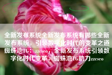 全新发布系统全新发布系统有哪些全新发布系统，引领数字化时代的变革之道蜘蛛池TG：zzcseo，全新发布系统引领数字化时代变革，蜘蛛池TG助力zzcseo