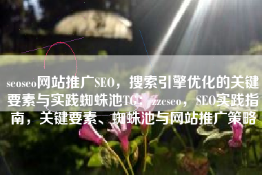 seoseo网站推广SEO，搜索引擎优化的关键要素与实践蜘蛛池TG：zzcseo，SEO实践指南，关键要素、蜘蛛池与网站推广策略