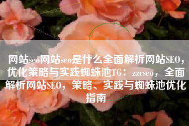 网站seo网站seo是什么全面解析网站SEO，优化策略与实践蜘蛛池TG：zzcseo，全面解析网站SEO，策略、实践与蜘蛛池优化指南
