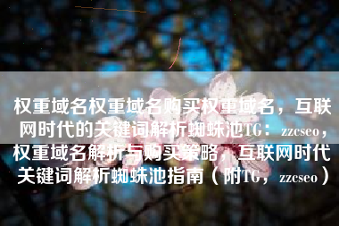 权重域名权重域名购买权重域名，互联网时代的关键词解析蜘蛛池TG：zzcseo，权重域名解析与购买策略，互联网时代关键词解析蜘蛛池指南（附TG，zzcseo）