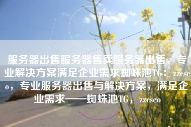 服务器出售服务器售卖服务器出售，专业解决方案满足企业需求蜘蛛池TG：zzcseo，专业服务器出售与解决方案，满足企业需求——蜘蛛池TG，zzcseo
