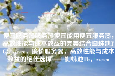 便宜服务器服务器便宜能用便宜服务器，高效性能与成本效益的完美结合蜘蛛池TG：zzcseo，廉价服务器，高效性能与成本效益的绝佳选择——蜘蛛池TG，zzcseo